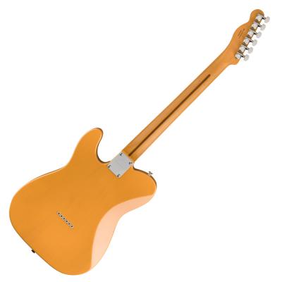 Fender Player Plus Telecaster MN Butterscotch Blonde エレキギター エレキギター 裏面 全体 画像