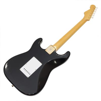 VAN ZANDT STV-R2 Black Gold Parts仕様 エレキギター 詳細画像