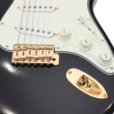 VAN ZANDT STV-R2 Black Gold Parts仕様 エレキギター 詳細画像
