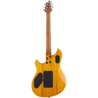 EVH イーブイエイチ Wolfgang WG Standard QM， Baked Maple Fingerboard， Transparent Amber エレキギター ボディバック