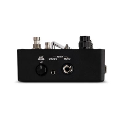 Ampeg アンペグ SGT-DI プリアンプ エフェクター インアウト画像3