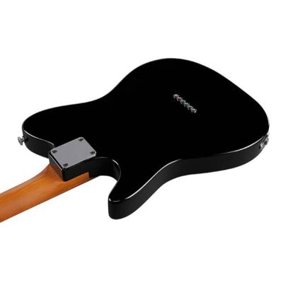 IBANEZ アイバニーズ FLATV1-BK ジョシュ スミス シグネチャーモデル エレキギター ボディバック斜めアングル画像