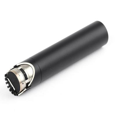 DPA ディーピーエー 2012 コンデンサーマイク 楽器用マイク マイクカプセル