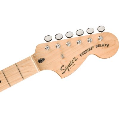 Squier スクワイヤー スクワイア Paranormal Esquire Deluxe Mocha エレキギター テレキャスター ヘッド画像