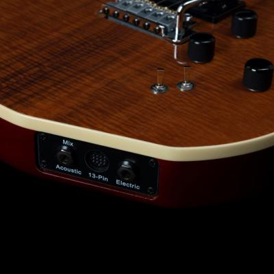 Godin ゴダン xtSA Koa Extreme HG エレキギター インポート画像