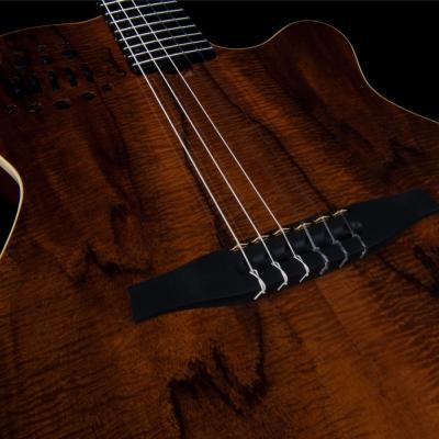 Godin ゴダン ACS Nylon KOA Extreme HG ナイロン弦 エレガットギター ブリッジ画像