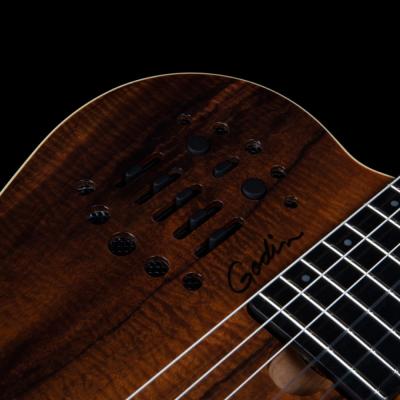Godin ゴダン ACS Nylon KOA Extreme HG ナイロン弦 エレガットギター コントロール画像
