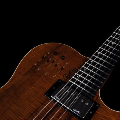 Godin ゴダン A6 ULTRA Extreme Koa HG エレクトリックアコースティックギター コントロール画像