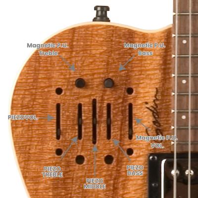 Godin ゴダン A6 ULTRA Extreme Koa HG エレクトリックアコースティックギター コントロール詳細画像