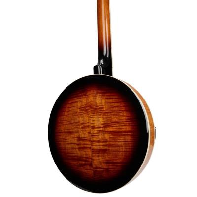 SX エスエックス BJ455VS Banjo 5弦バンジョー ボディバック画像