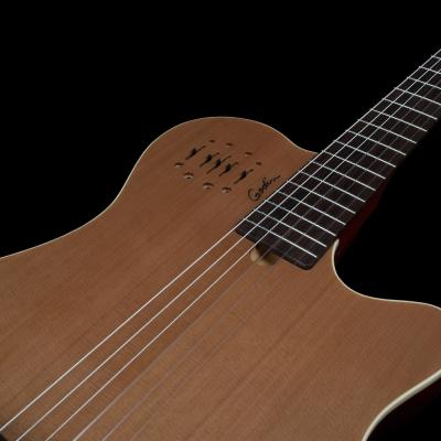 Godin ゴダン Multiac Grand Concert Encore Natural SG エレガットギター ボディトップ画像
