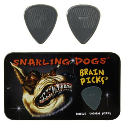 D’Andrea ダンドレア BRAIN PICKS Pick Set TNSDB351 1.00 ピックケース付きギターピック12枚セット