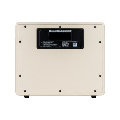 Mooer ムーアー Hornet 30i White ギターアンプ デジタルモデリングアンプ リア画像
