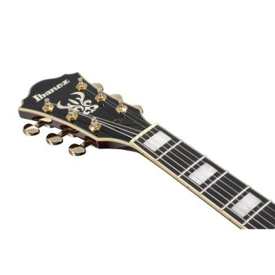 IBANEZ アイバニーズ Artcore Expressionist AG95K-NT フルアコースティックギター エレキギター ヘッド表