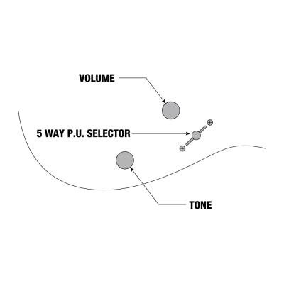 IBANEZ アイバニーズ JEMJRSP-PK Steve Vaiシグネチャーエントリーモデル ピンク エレキギター コントロール図画像