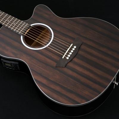 Washburn ワッシュバーン DFEACE-U EBONY ACE エレクトリックアコースティックギター トーンウッドストライプエボニーを採用