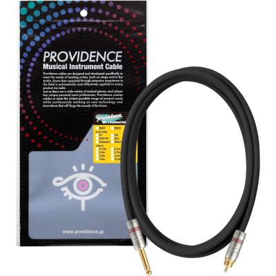 Providence プロビデンス R301 PH/RCA 3m ラインケーブル