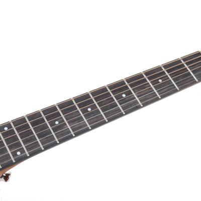 aNueNue アヌエヌエ Bird Guitar aNN-M52 アコースティックギター 指板画像