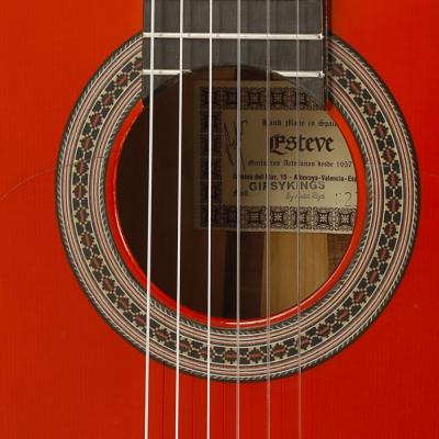 Esteve エステベ GIPSY KINGS by Andre Reyes フラメンコギター ホール画像