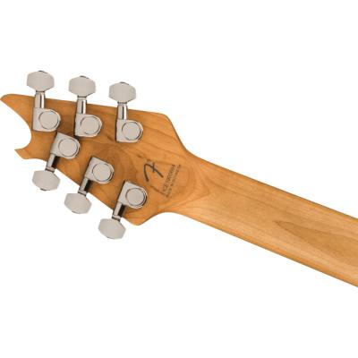 EVH イーブイエイチ Wolfgang WG Standard Exotic Zebrawood Natural エレキギター ヘッド裏、ペグ