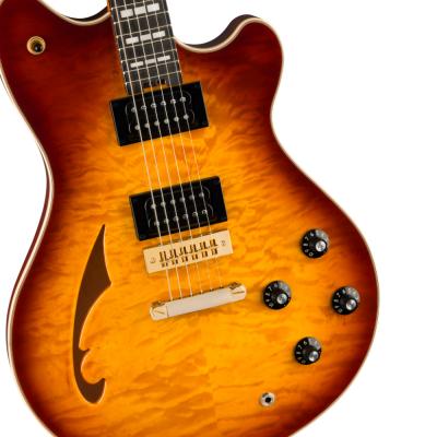 EVH イーブイエイチ SA-126 Special QM Tobacco Sunburst エレキギター ボディ画像2