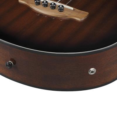 IBANEZ アイバニーズ AEGB24FE-MHS フレットレス エレクトリックアコースティックベース プラグアウト画像