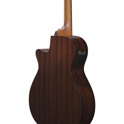 IBANEZ アイバニーズ AEGB24FE-MHS フレットレス エレクトリックアコースティックベース ボディバック斜めアングル画像