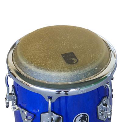 TOCA トカ 4611-BW Custom Deluxe 11インチ Blue Wood Quinto コンガ キント ブルー 打面画像