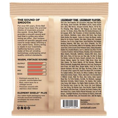アーニーボール ベース弦 フラットワウンド ERNIE BALL 2800 Bass Flatwound Stainless Steel 4 I 50-110 SHORT SCALE ステンレススチール ショートスケール パッケージ画像
