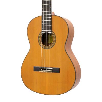 ARIA PEPE アリア ぺぺ PS-58OP ミニクラシックギター ボディ