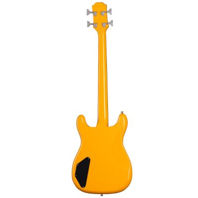 Epiphone Newport Bass California Coral エレキベース ボディバック