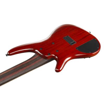 Ibanez アイバニーズ SR1426B-CGL SR Premium 6弦エレキベース ボディバック