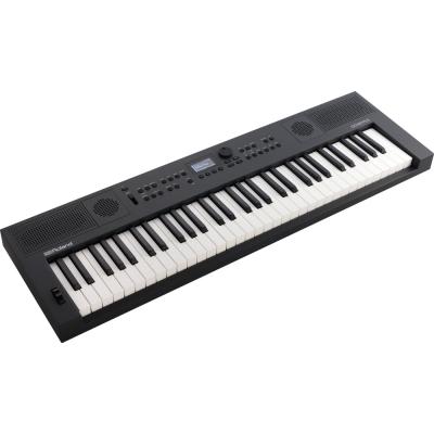 キーボード 61鍵盤 ローランド ROLAND GOKEYS5-GT GO:KEYS 5 Entry Keyboard エントリーキーボード グラファイト ブラック 自動伴奏 ボーカル入力対応 アングル画像