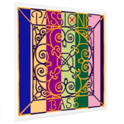 PIRASTRO ピラストロ コントラバス弦 Passione パッシオーネ 349120 G線 ロープコア/クロム