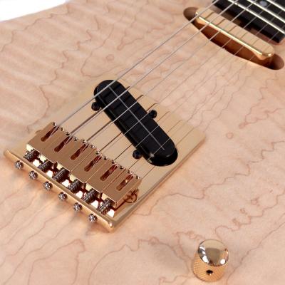 Washburn ワッシュバーン NELEDLX-D-U NELE DELUXE エレキギター ブリッジ、ピックアップ