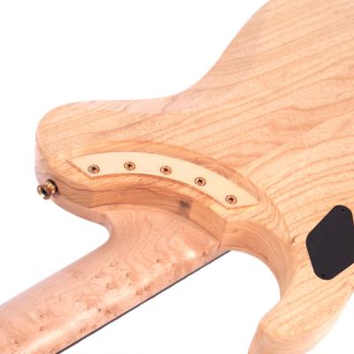 Washburn ワッシュバーン NELEDLX-D-U NELE DELUXE エレキギター ネックヒール