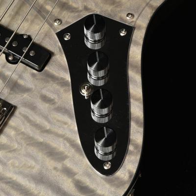 BACCHUS バッカス Japan Tune-up Series WL5-QM-AC RSM/M CHGS 5弦ベース エレキベース コントロール画像