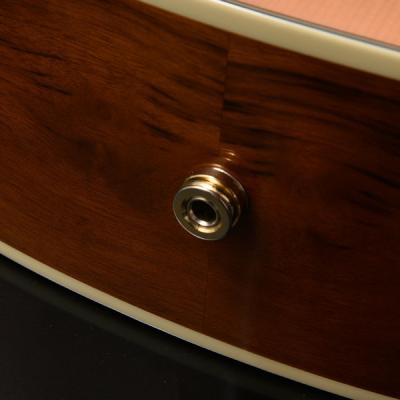 HEADWAY ヘッドウェイ Japan Tune-up Series HTJ-SAKURA SKPN エレクトリックアコースティックギター エレアコ エンドピンジャック