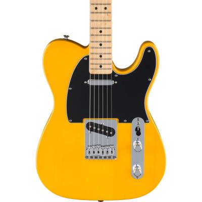 Fender フェンダー Standard Telecaster MN BPG BTB エレキギター テレキャスター ボディ画像