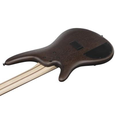 IBANEZ アイバニーズ SR305EB-WNF Walnut Flat 5弦エレキベース ボディバック斜め画像