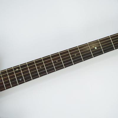SCHECTER OL-FL-P WHT エレクトリックアコースティックギター 指板画像
