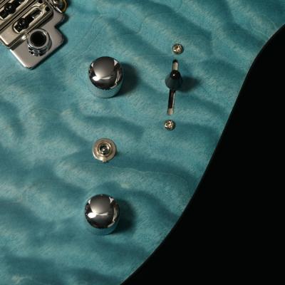 BACCHUS バッカス Japan Tune-up Series TACTICS24-QM RSM/M AMBS エレキギター コントロール部