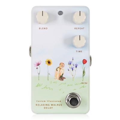 Animals Pedal アニマルズペダル Custom Illustrated RWD yung kai 03 wildflower ディレイ ギターエフェクター