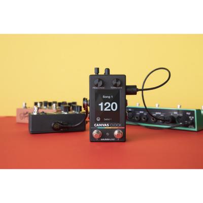 WALRUS AUDIO ウォルラスオーディオ Canvas Clock WAL-CANV/CLK ギターエフェクター テンポコントロール イメージ