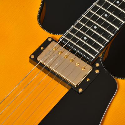 SeventySeven Guitars セブンティセブンギターズ EXRUBATO-ONE ANA フルアコースティックギター エレキギター フルアコ 77 ピックアップ部