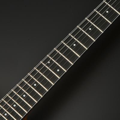 SeventySeven Guitars セブンティセブンギターズ EXRUBATO-ONE ANA フルアコースティックギター エレキギター フルアコ 77 ネック部