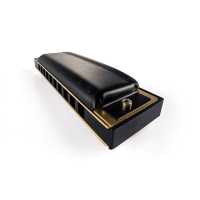 HOHNER ホーナー Pro Harp 562/20P C 10ホールハーモニカ ブルースハープ 斜めアングル画像