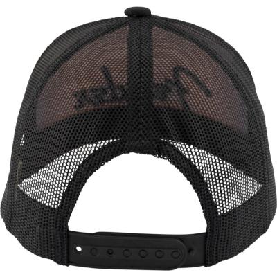 Fender フェンダー Sunburst Hat Multi-Color ベースボールキャップ 背面