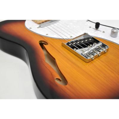 エレキギター PHOTOGENIC TLT-200 3TS シンラインタイプ TL サンバースト ホール画像