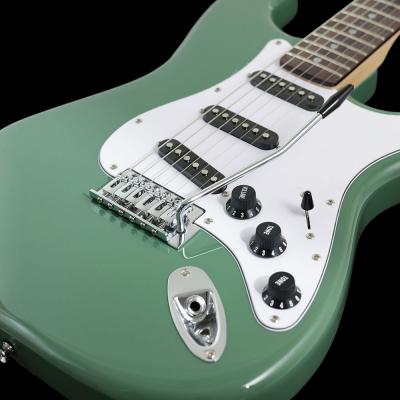 SX SST/ALDER/R/VGN エレキギター ボディ